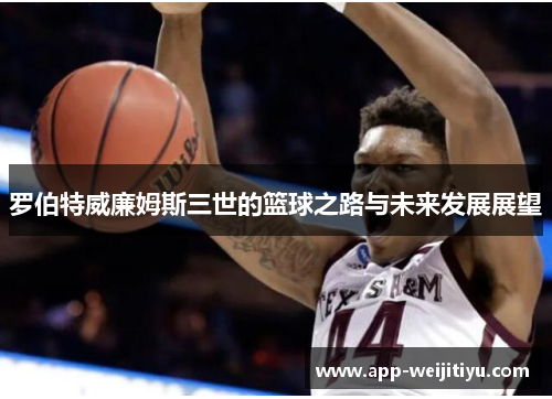 罗伯特威廉姆斯三世的篮球之路与未来发展展望