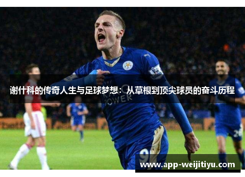 谢什科的传奇人生与足球梦想：从草根到顶尖球员的奋斗历程